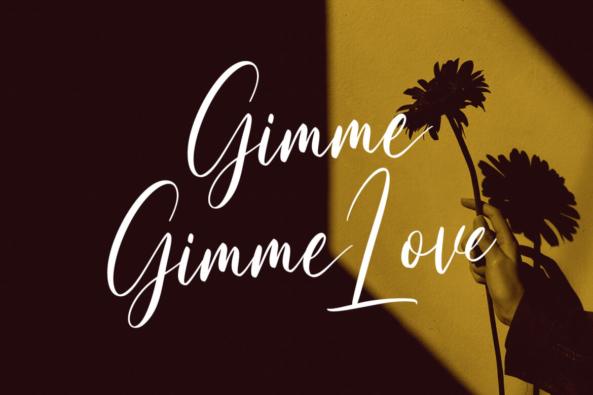 Tiffanka - Free Script Font - view 10