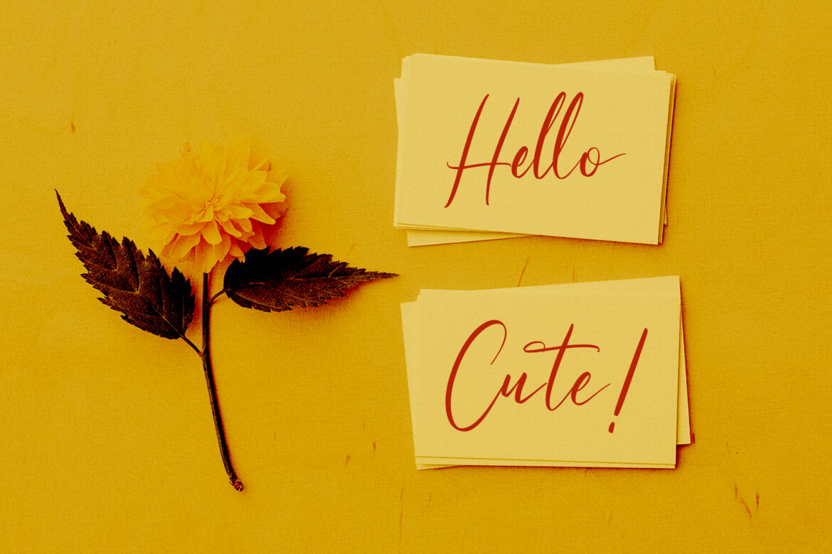 Tiffanka - Free Script Font - view 7