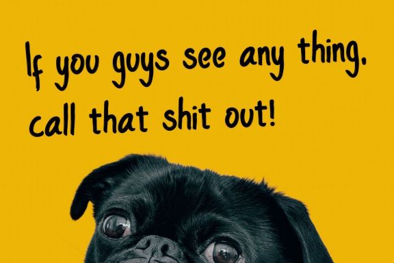 Donkey - Handwritten Font - view 1