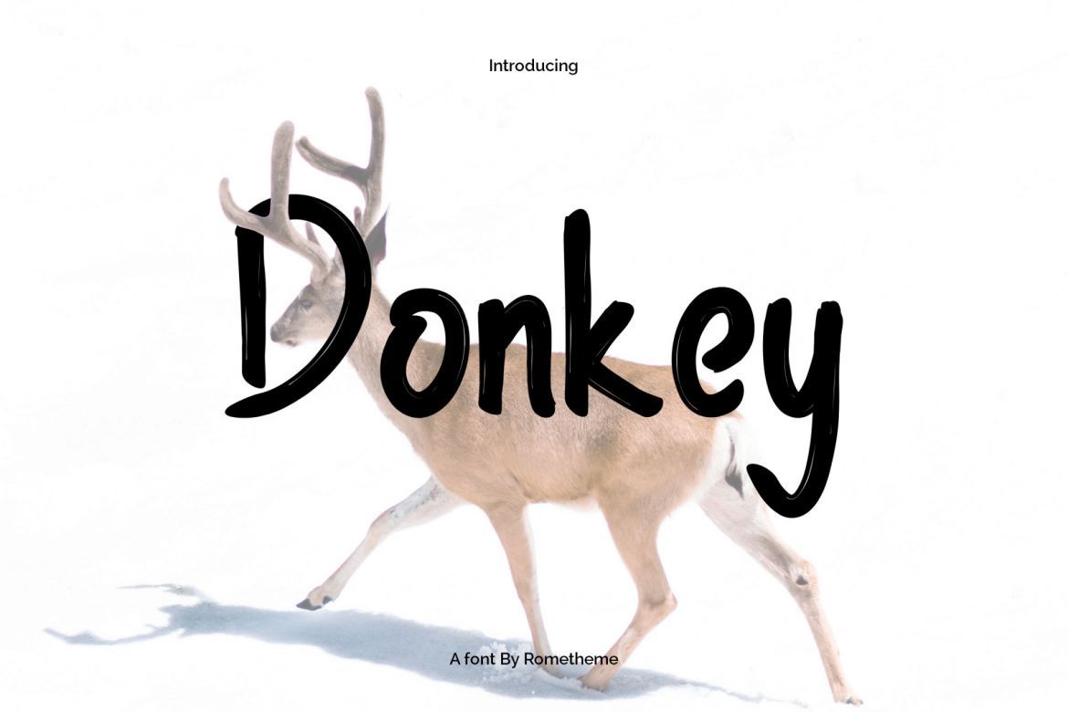 Donkey - Handwritten Font - view 4
