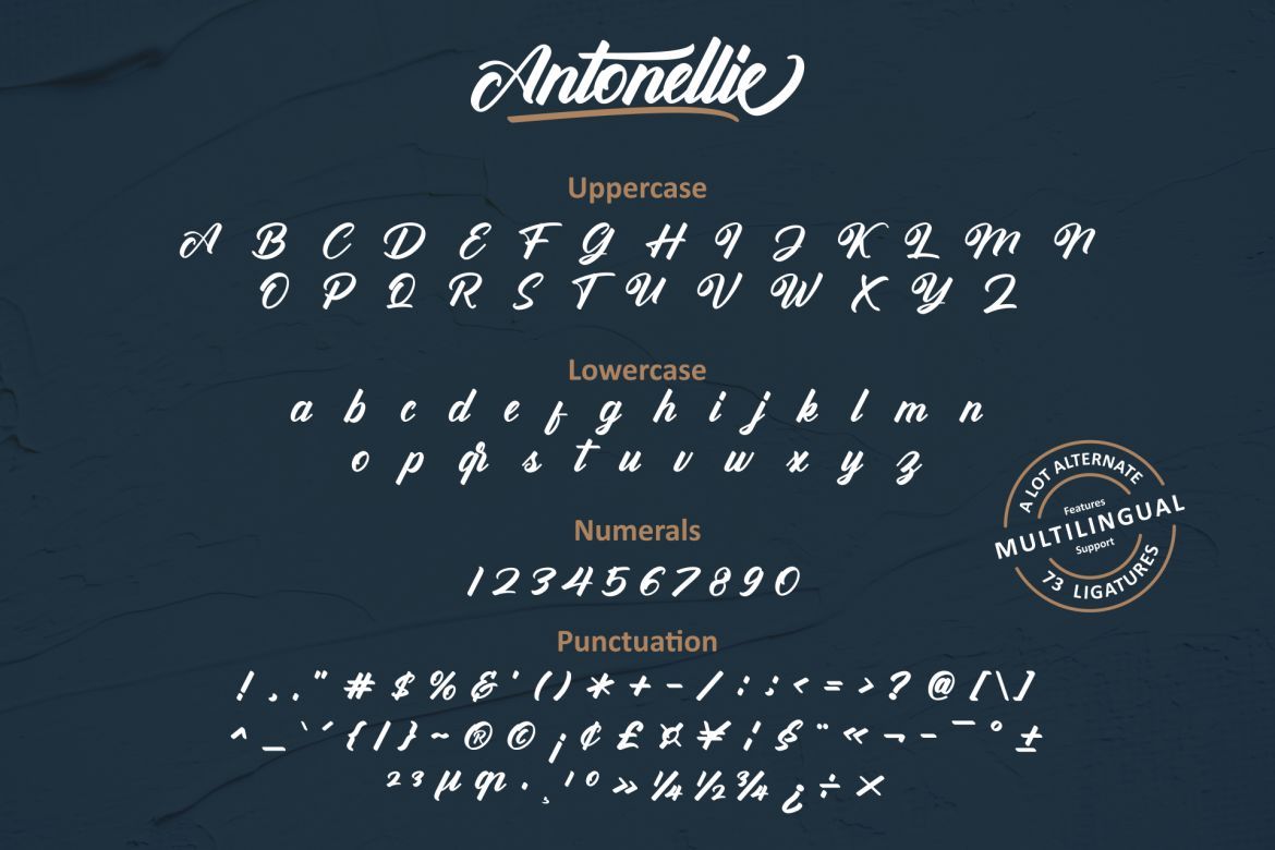 Antonellie Hand Lettered Script - view 12