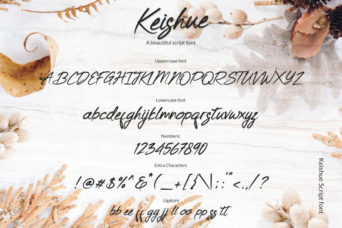 Keishue - Script Font - view 5