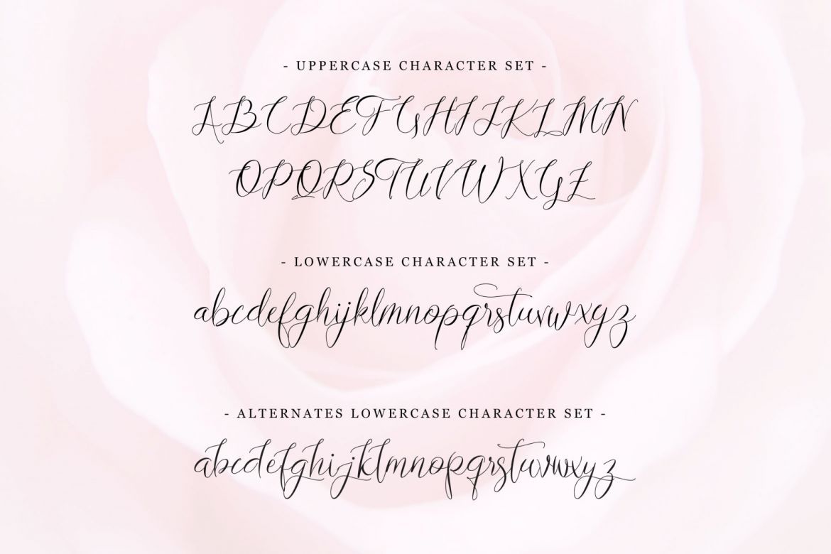 Lovestrong - Script Font - view 6