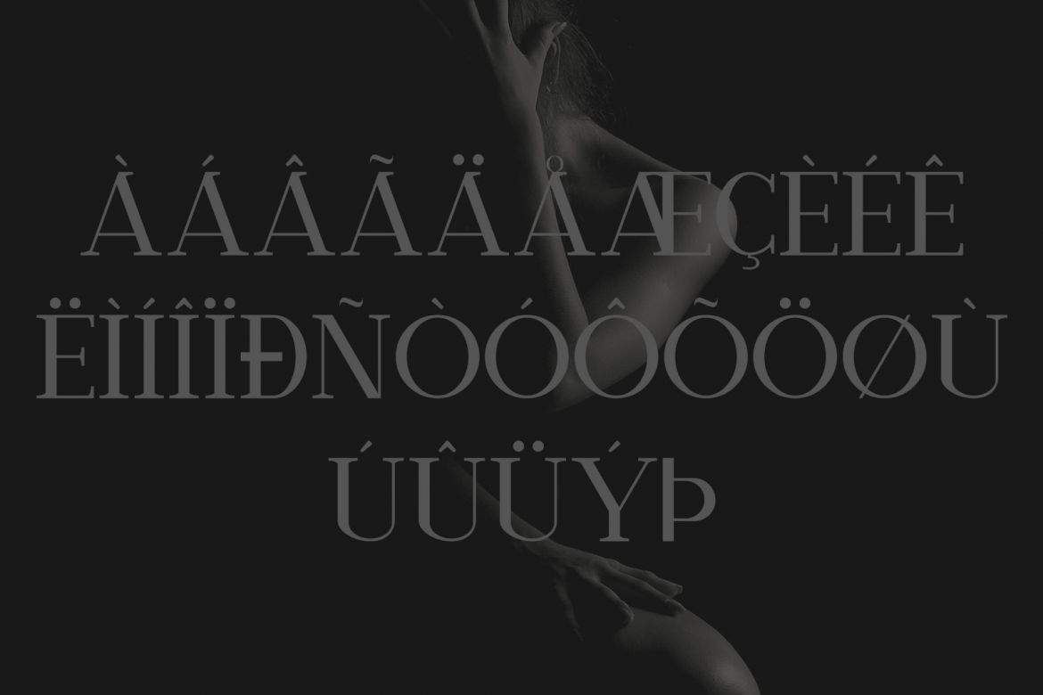 Nathanos - Serif Typeface - view 10