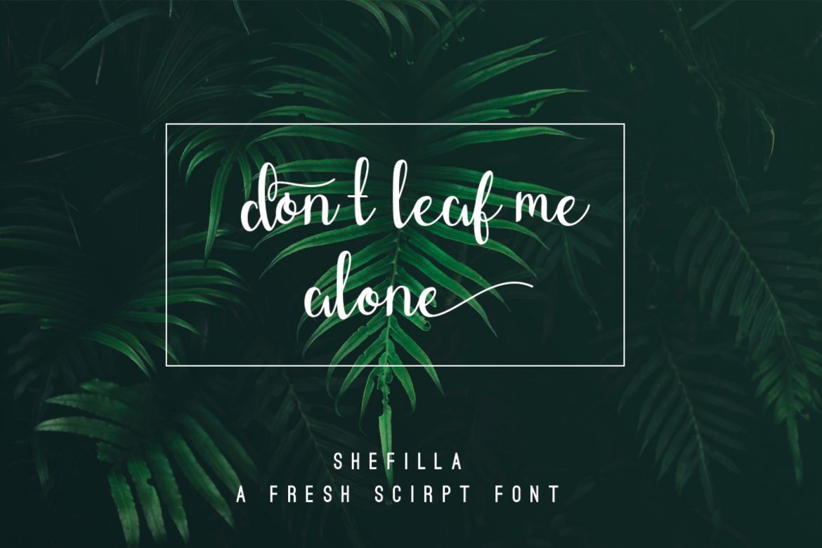 Shefilla - Script Font alternate