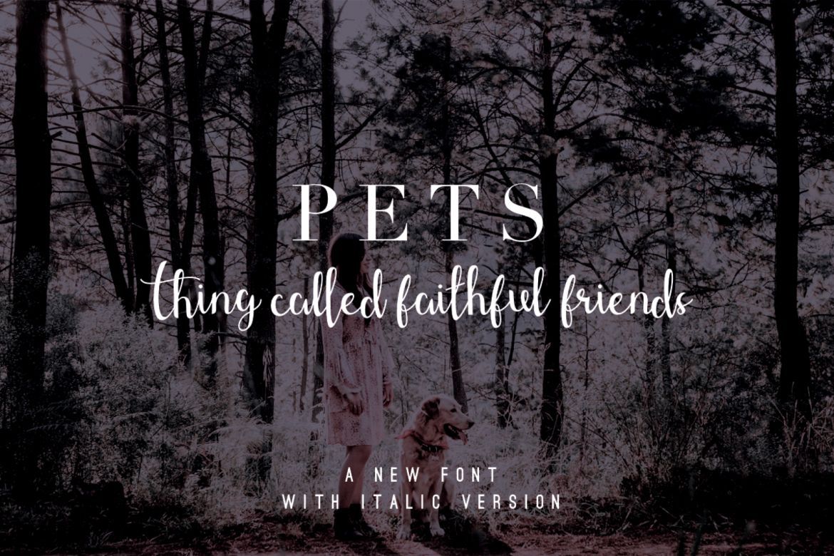 Shefilla - Script Font - view 3