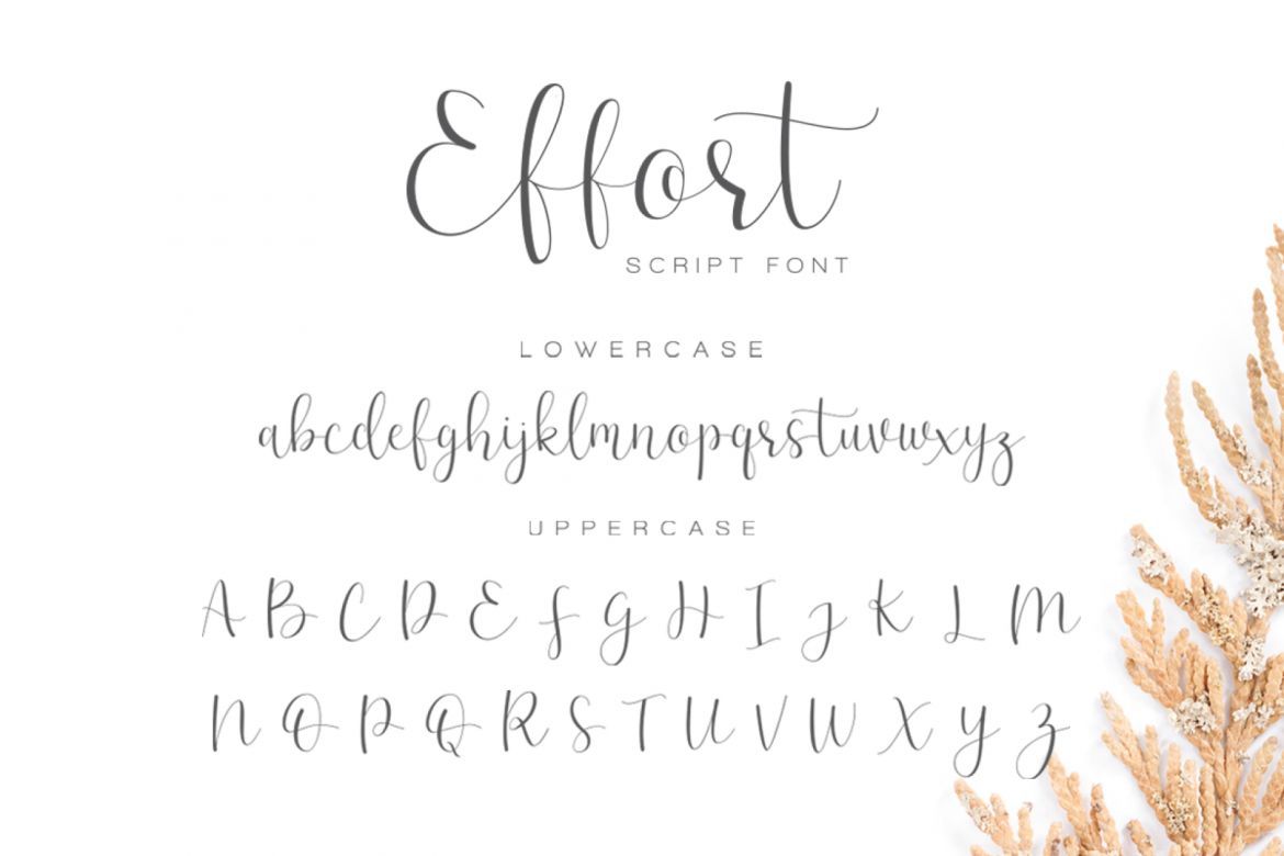 Effort - Calligraphy Font - view 11
