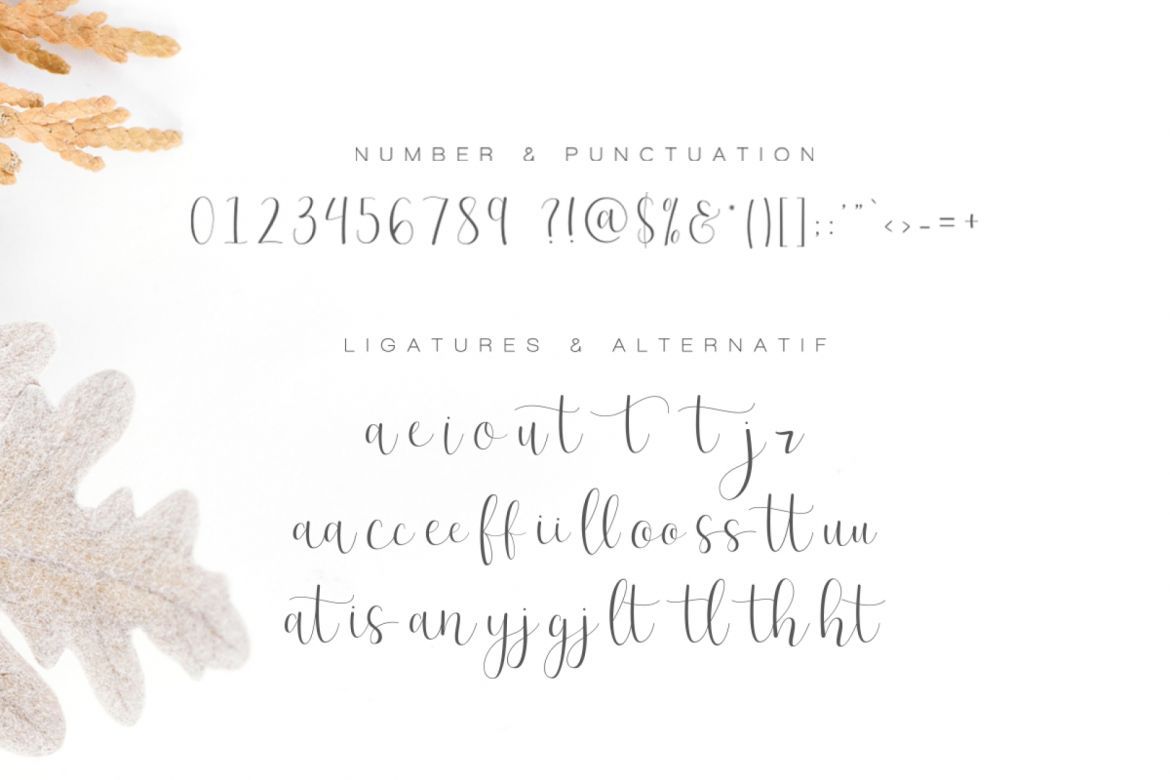 Effort - Calligraphy Font - view 12