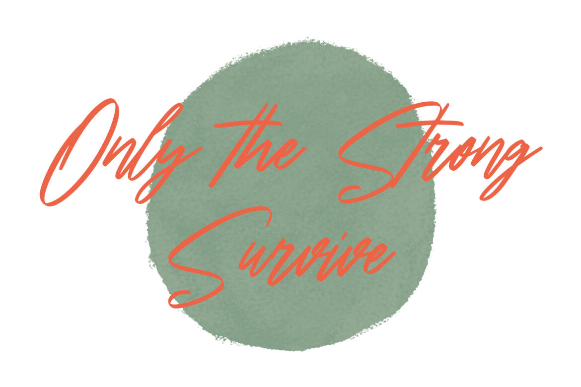 Testimoney Signature FREE Font - view 7