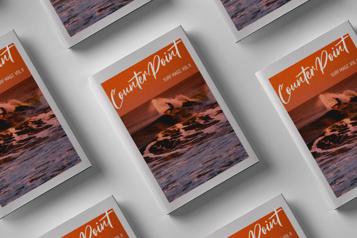 Roxfranks Brush Script FREE Font - view 9