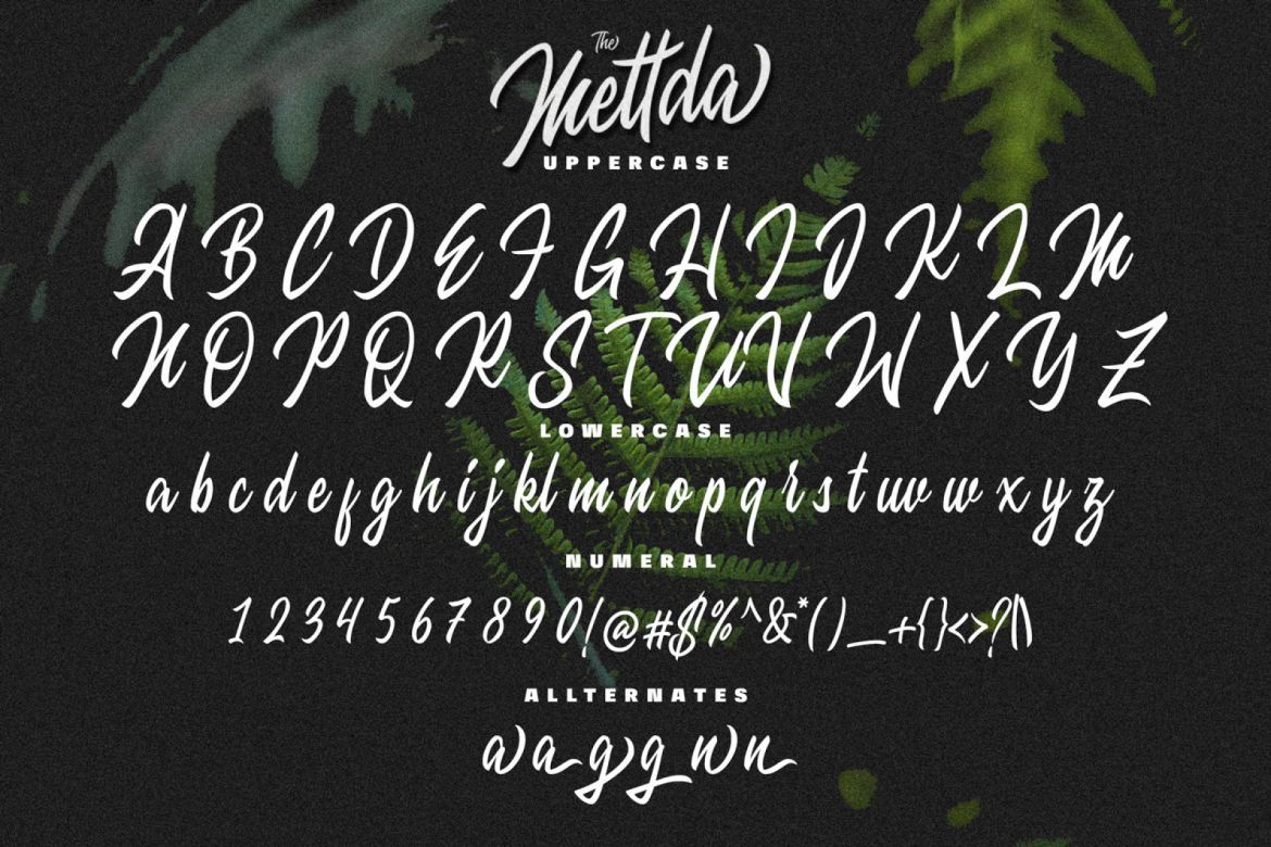 Mettda Script - view 7