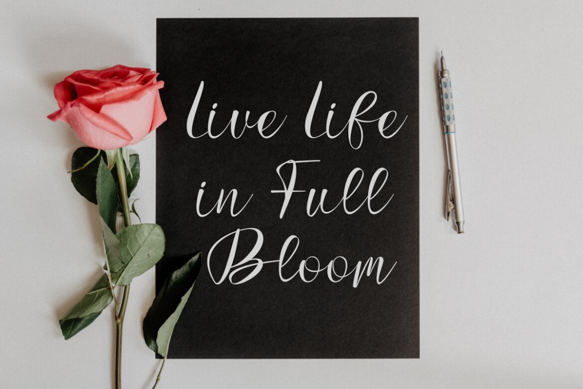 Batfide Signature - Free Font - view 11