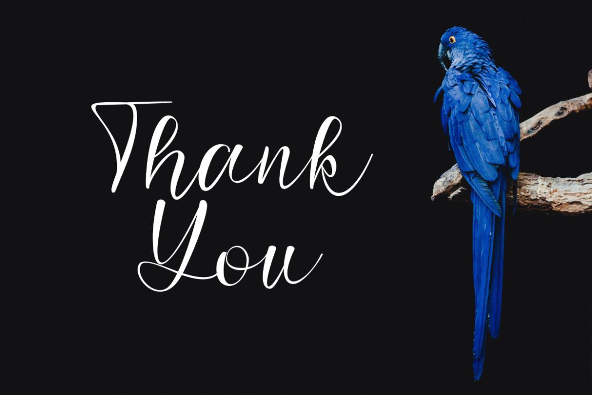 Batfide Signature - Free Font - view 7