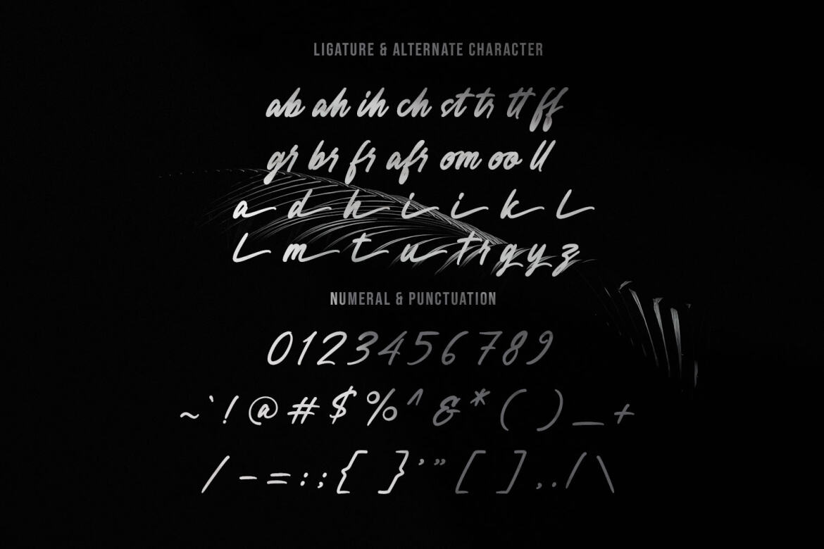 Anesthesa Handcrafted FREE Script Font - view 5