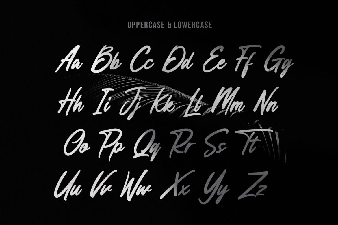 Anesthesa Handcrafted FREE Script Font - view 4