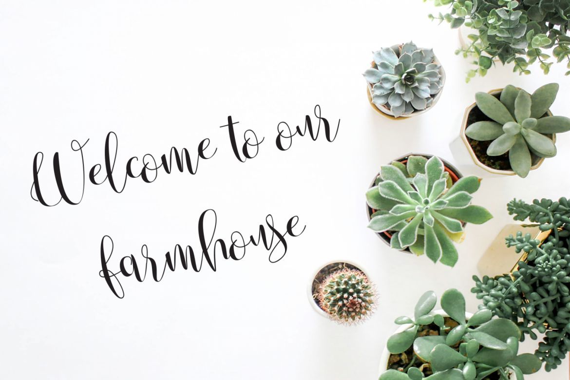 Anastasia Script - view 5