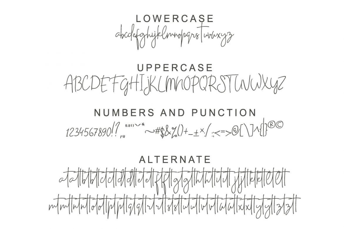 Casttano Script - view 4