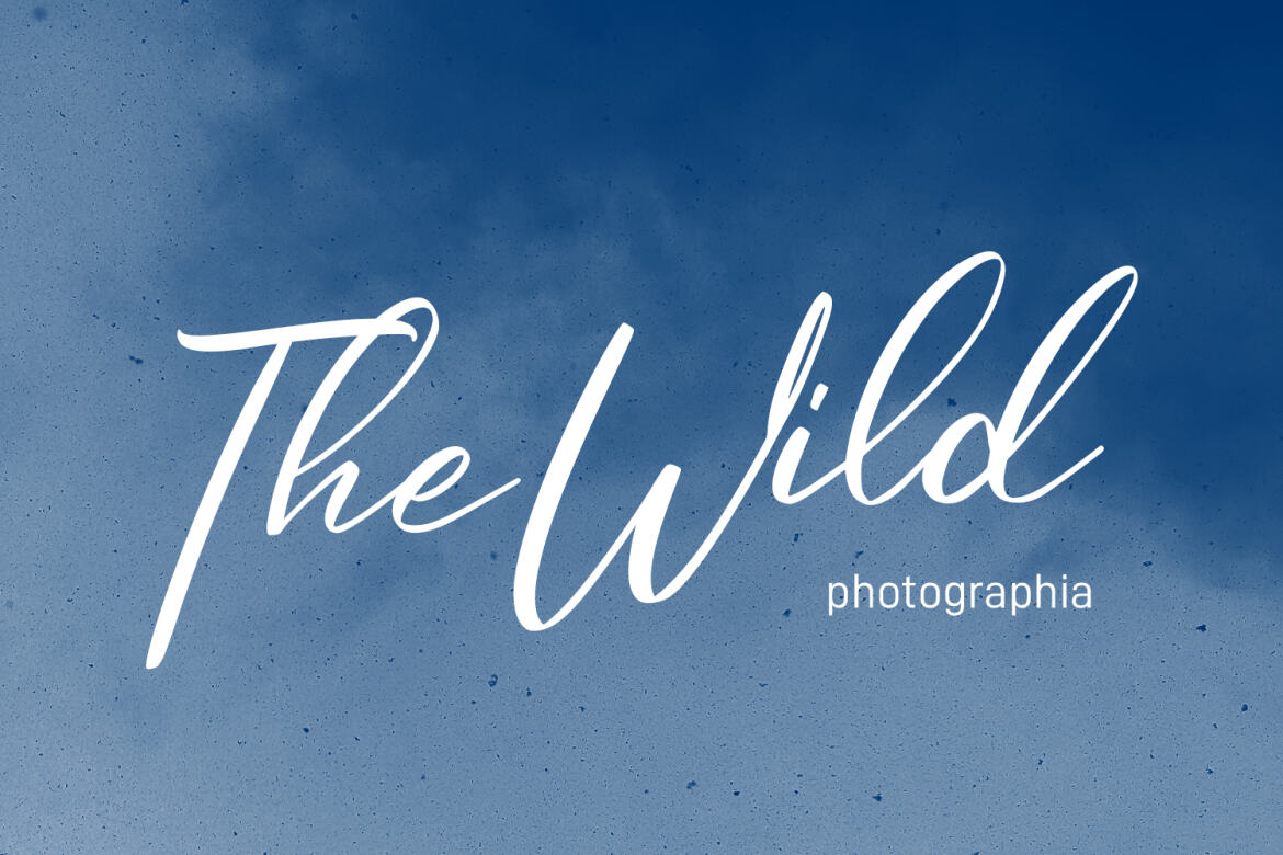 Cosbycorwin Free Script Font - view 3