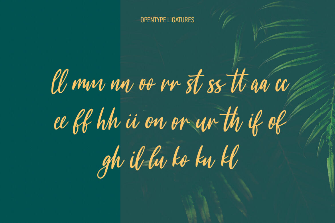 Meganfoxy - Free Script Font - view 9