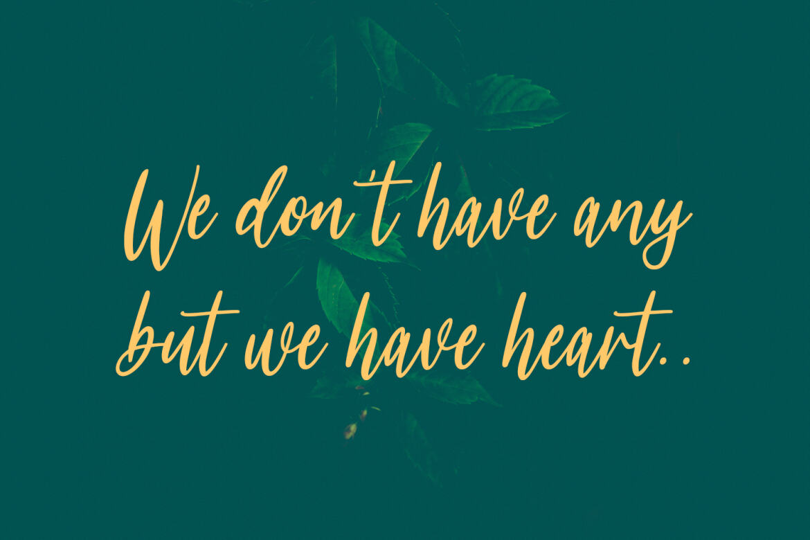 Meganfoxy - Free Script Font - view 3