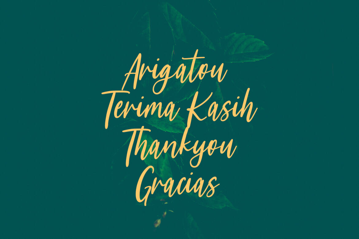 Meganfoxy - Free Script Font - view 10