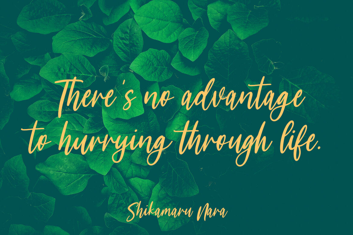 Meganfoxy - Free Script Font - view 7