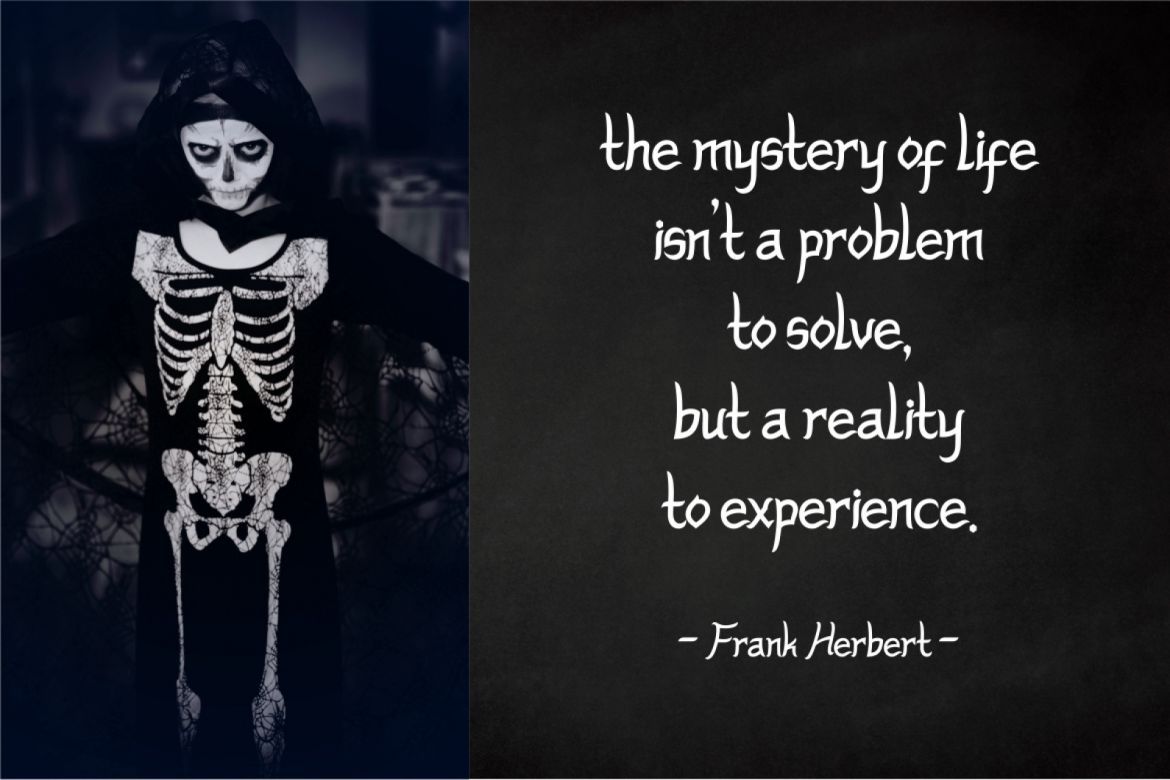 Ghost House - view 4