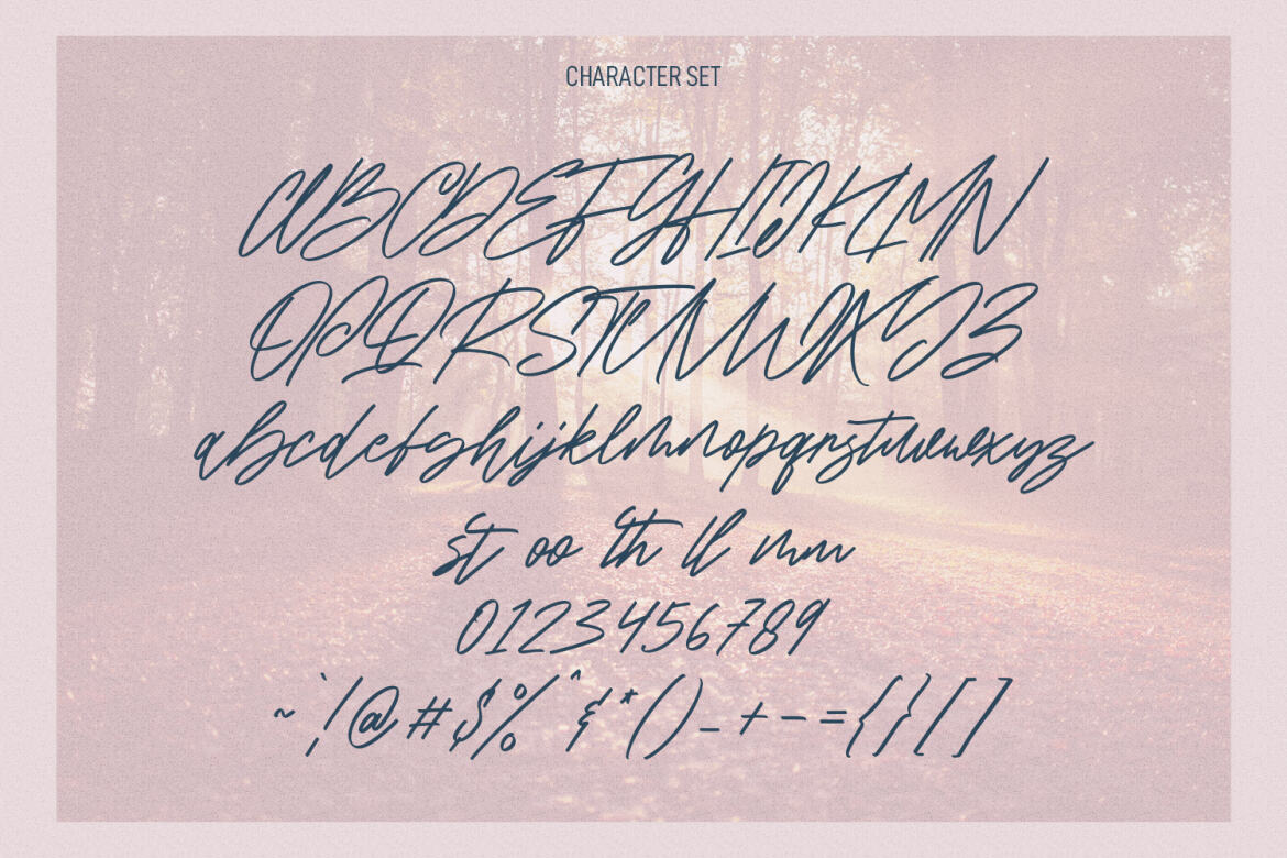 Intellections Signature FREE Script - view 8