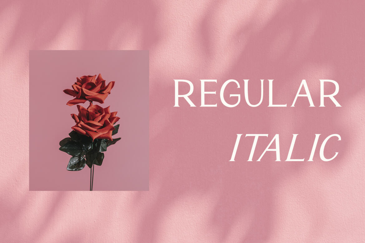 Monaline FREE Modern Serif - view 6