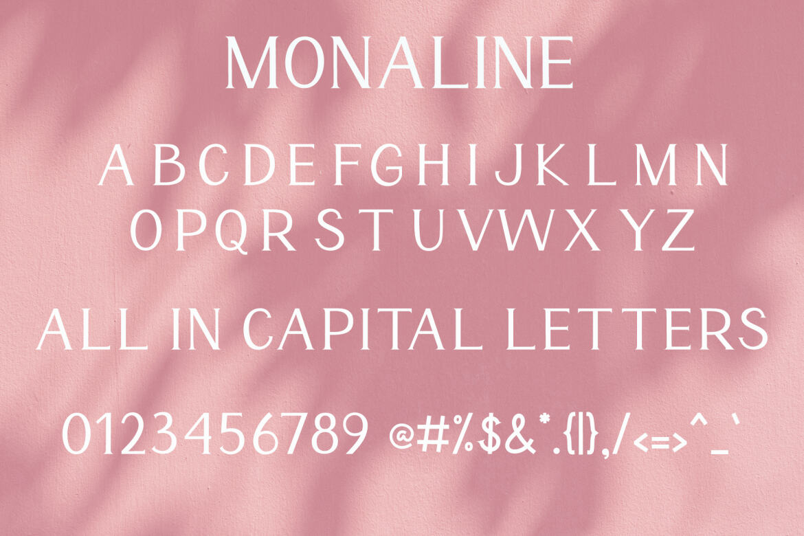 Monaline FREE Modern Serif - view 8