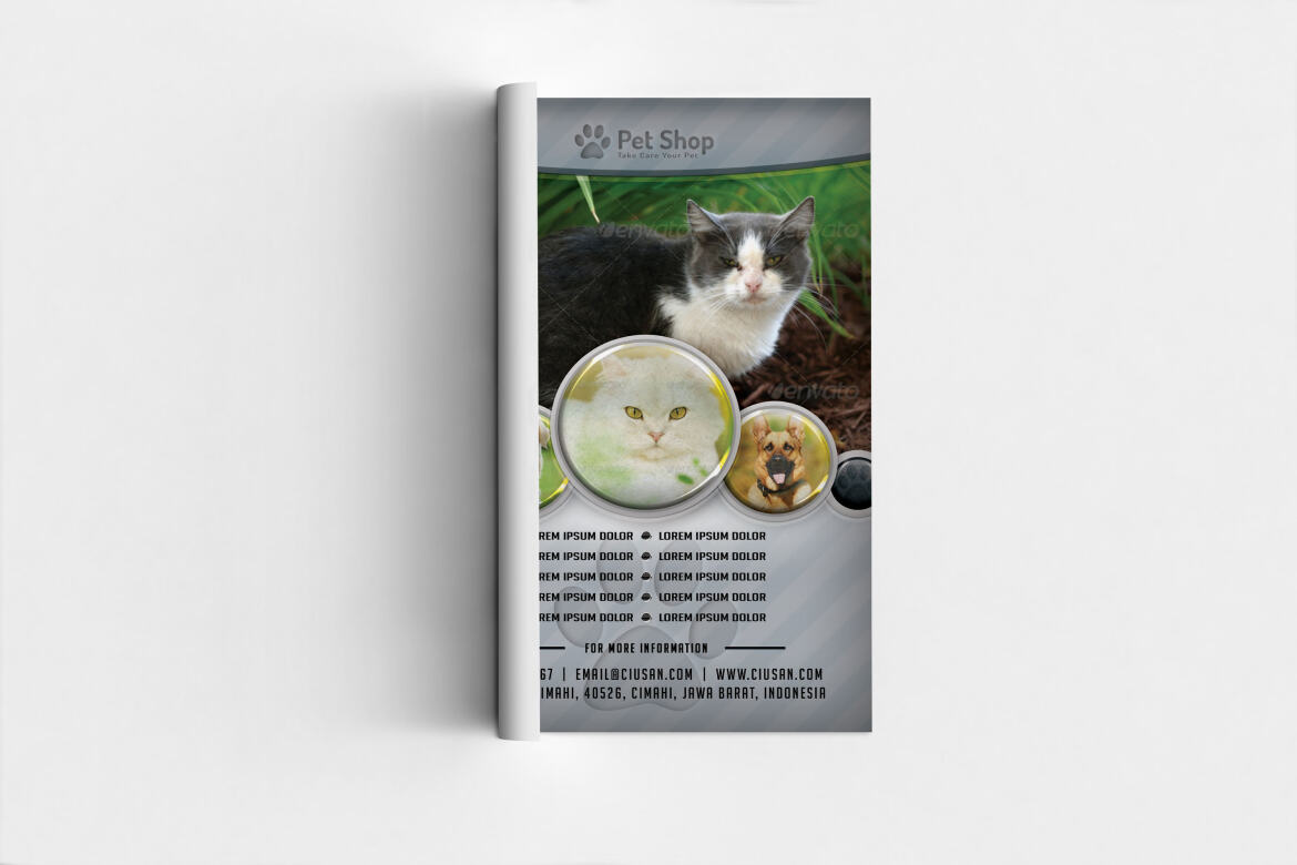 Pet Shop FREE Flyer Template - view 3
