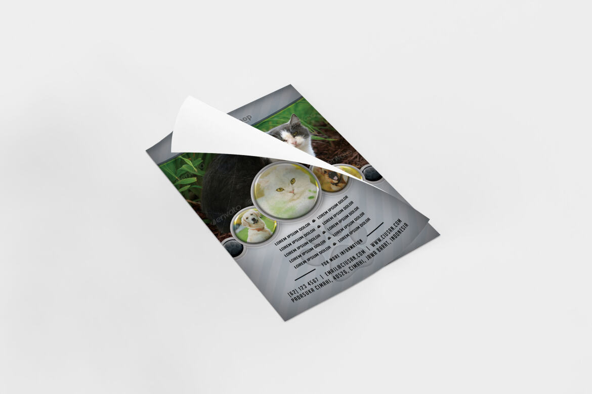 Pet Shop FREE Flyer Template - view 5