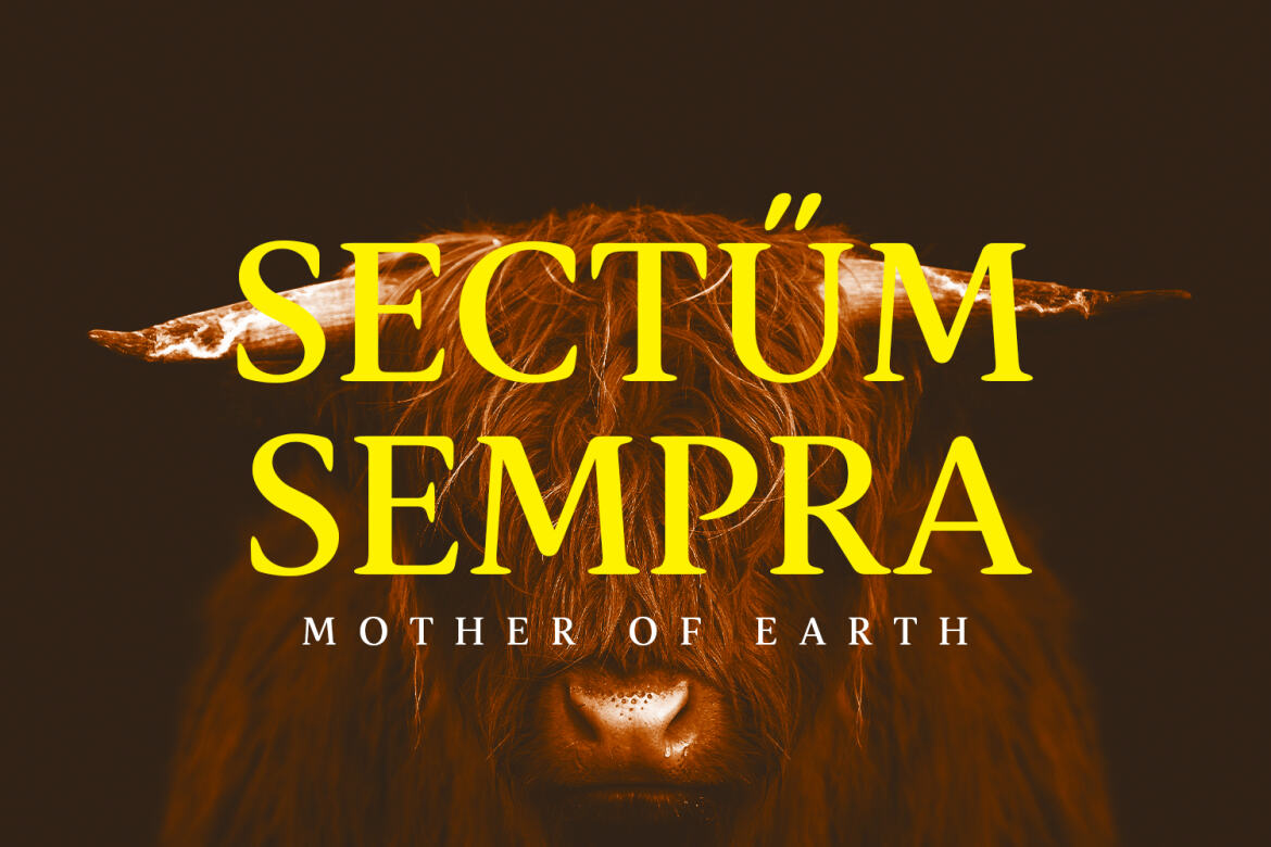 Spaziel Modern Rounded FREE Serif Font - view 5