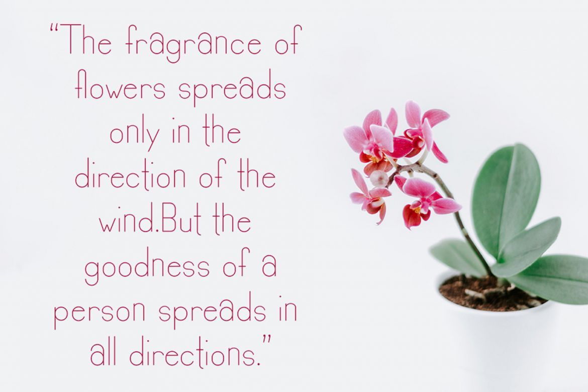 LEONA moliss Font - view 8