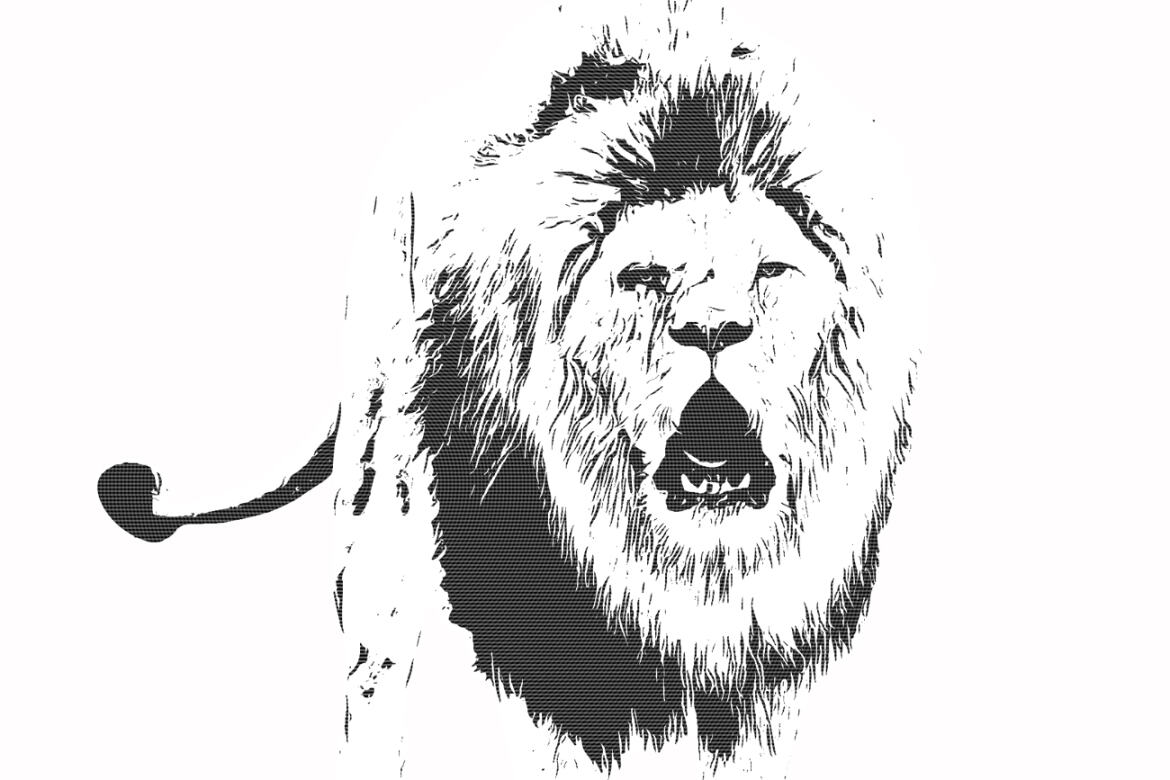 Vector Trace FREE Photoshop Action - view 9