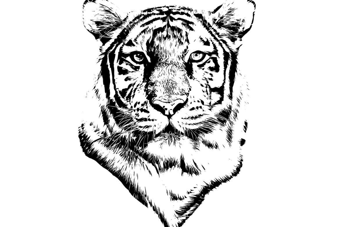 Vector Trace FREE Photoshop Action - view 10