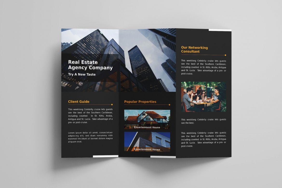 Corporate Trifold Brochure alternate