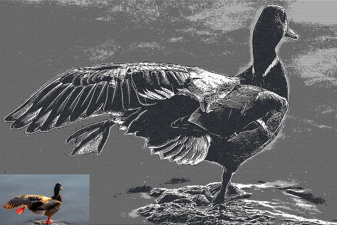 Novel Sketch Portrait FREE Photoshop Action - view 3