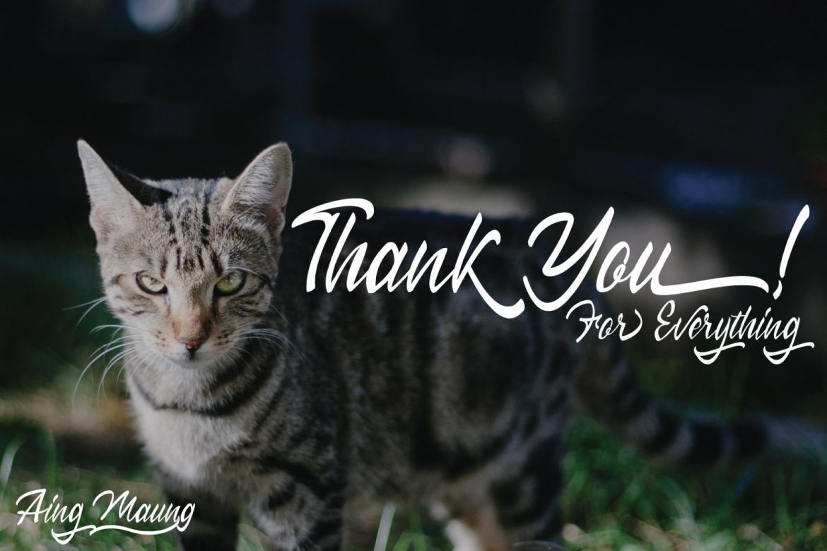 Himallaya Script Font - view 7