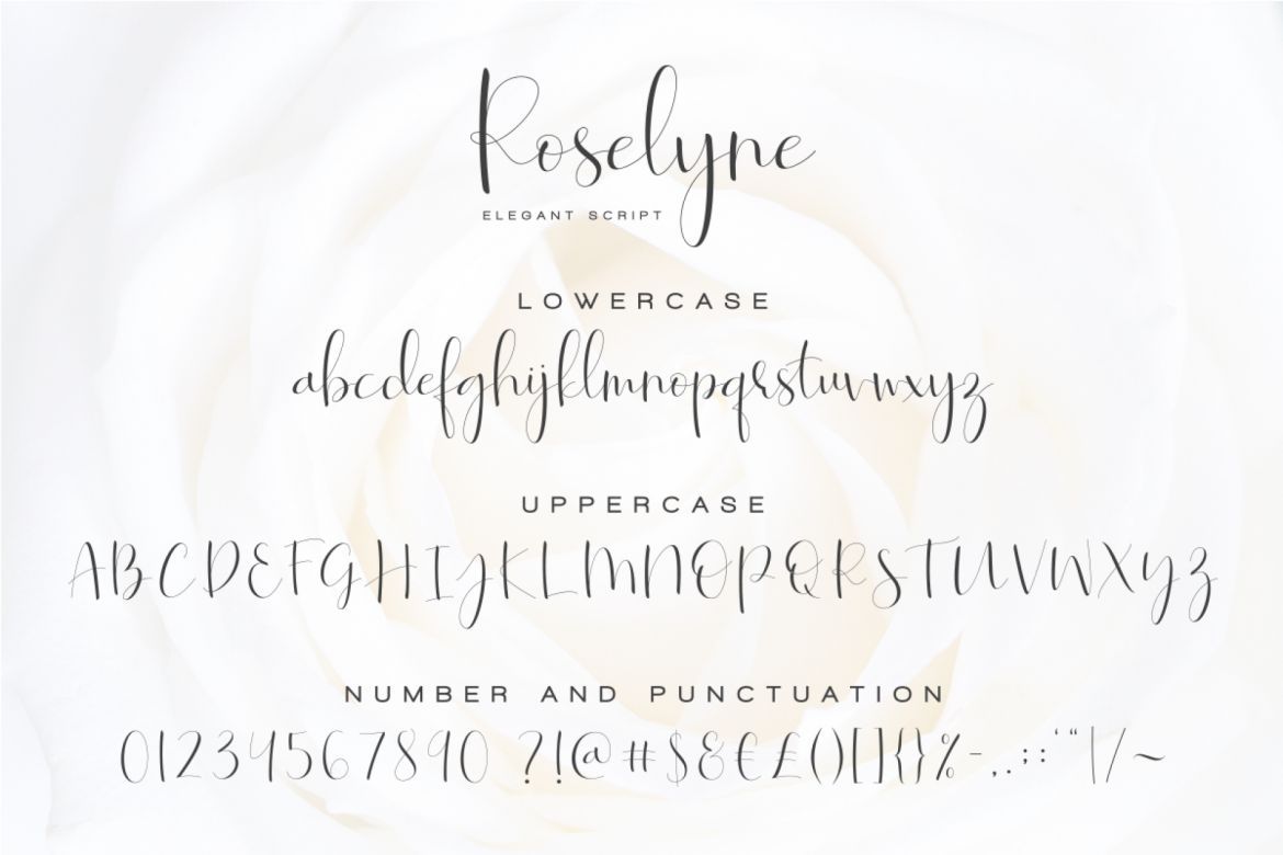 Roselyne - Caligraphy Script - view 8