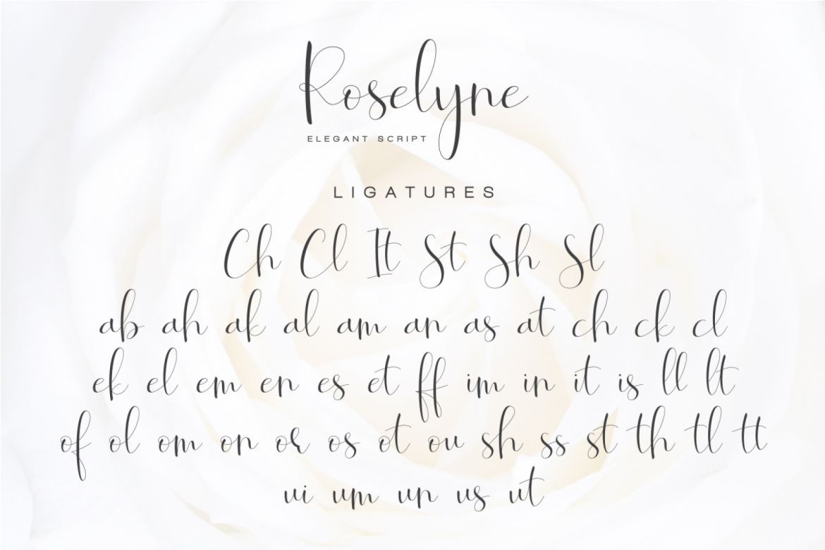 Roselyne - Caligraphy Script - view 9