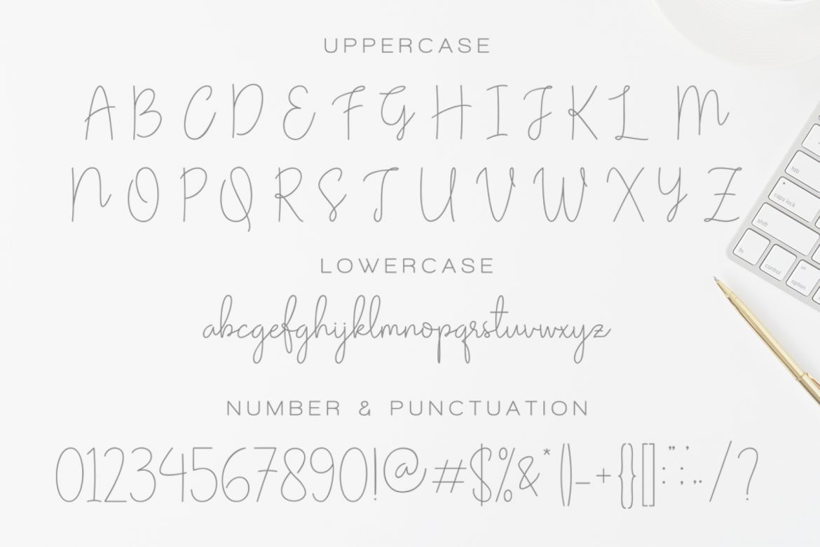 Olivia - Elegant Monoline Script - view 11
