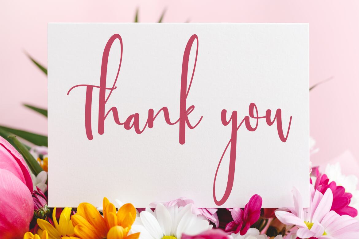  Sttessi - Beutiful FREE Script Font - view 7