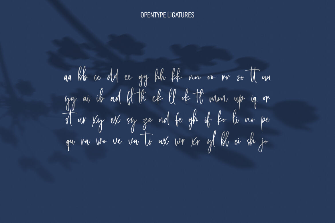 Canthikas Signature FREE Script Font - view 9