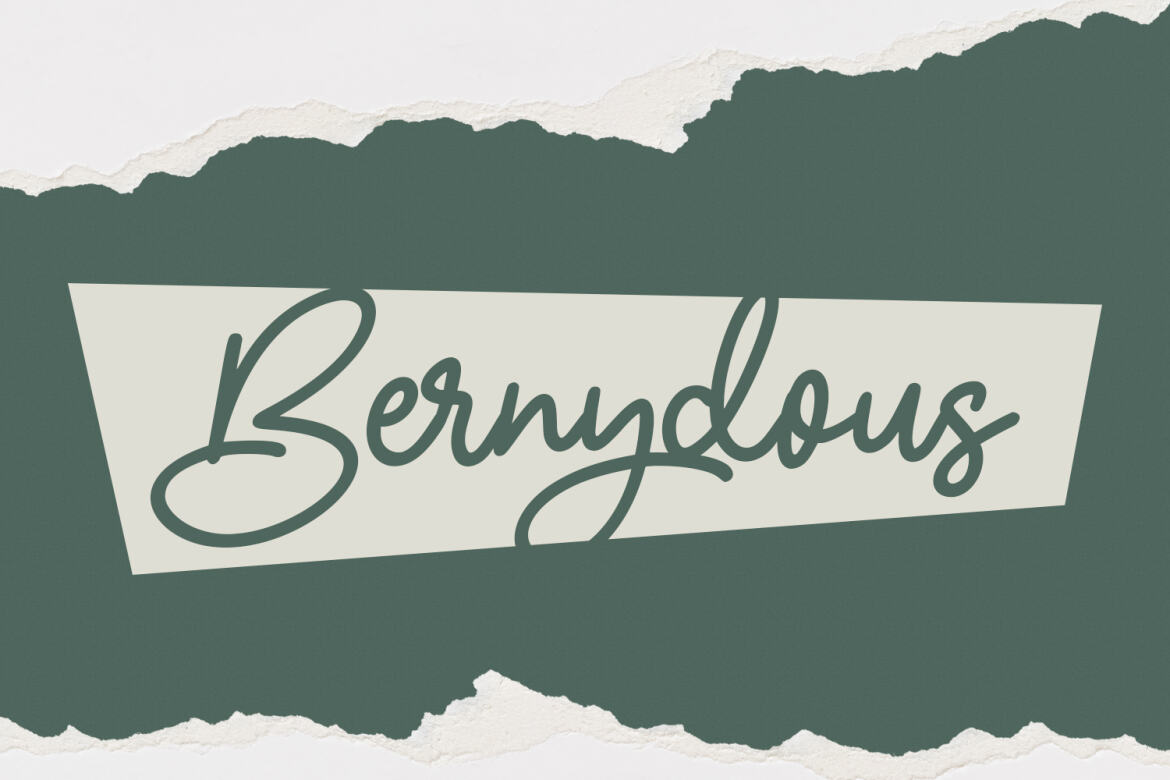 Olliverya Monoline FREE Script Font - view 4