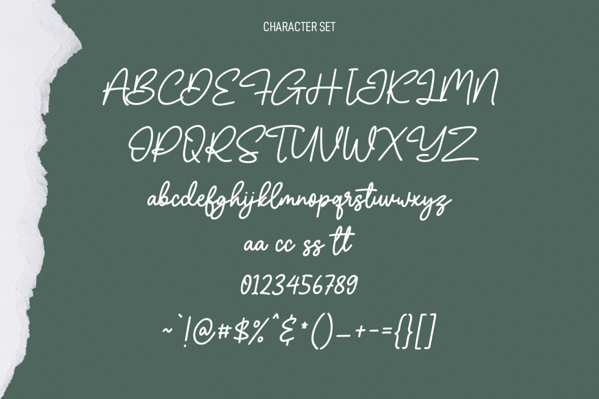 Olliverya Monoline FREE Script Font - view 8