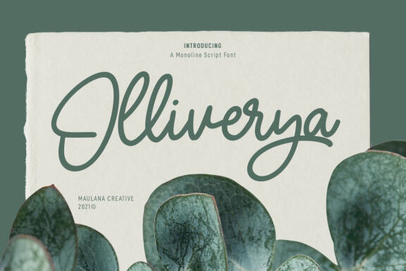 Olliverya Monoline FREE Script Font