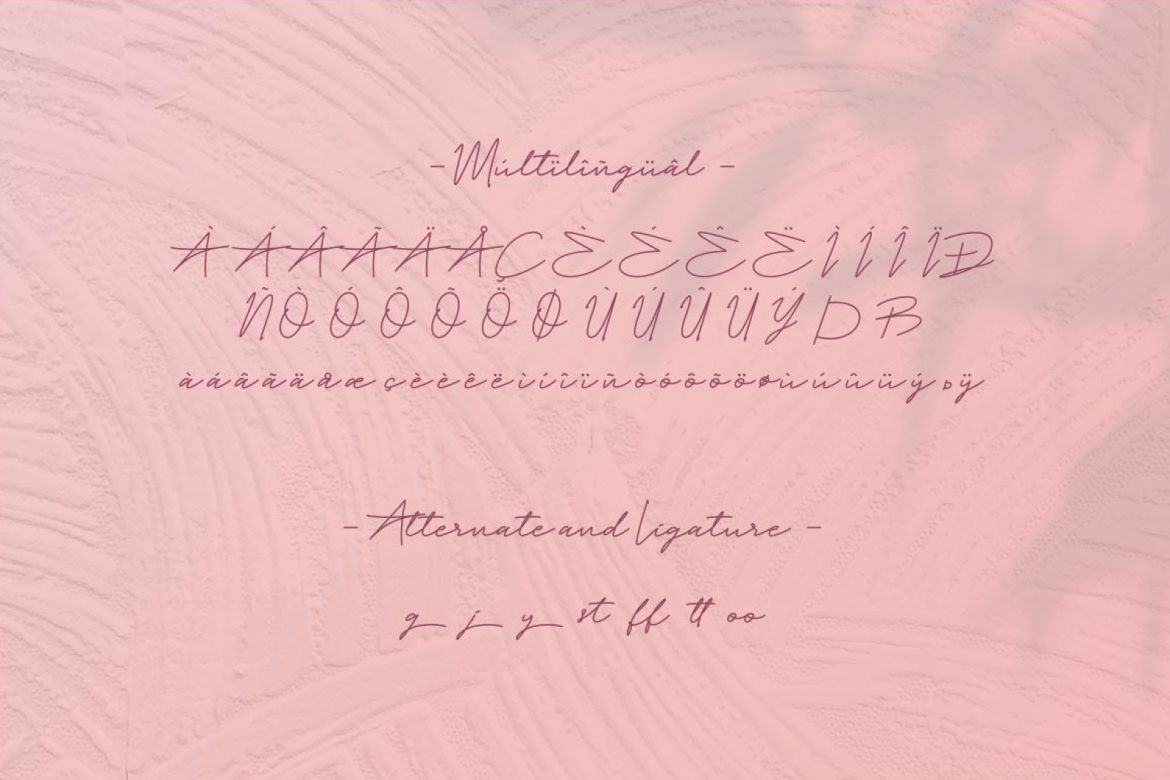 Paula Fluiton Script - view 7