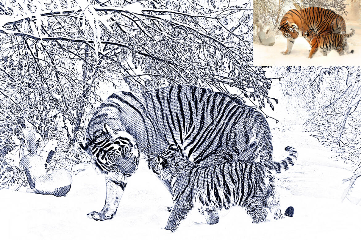 Realistic Money Effect FREE Photoshop Action - view 9