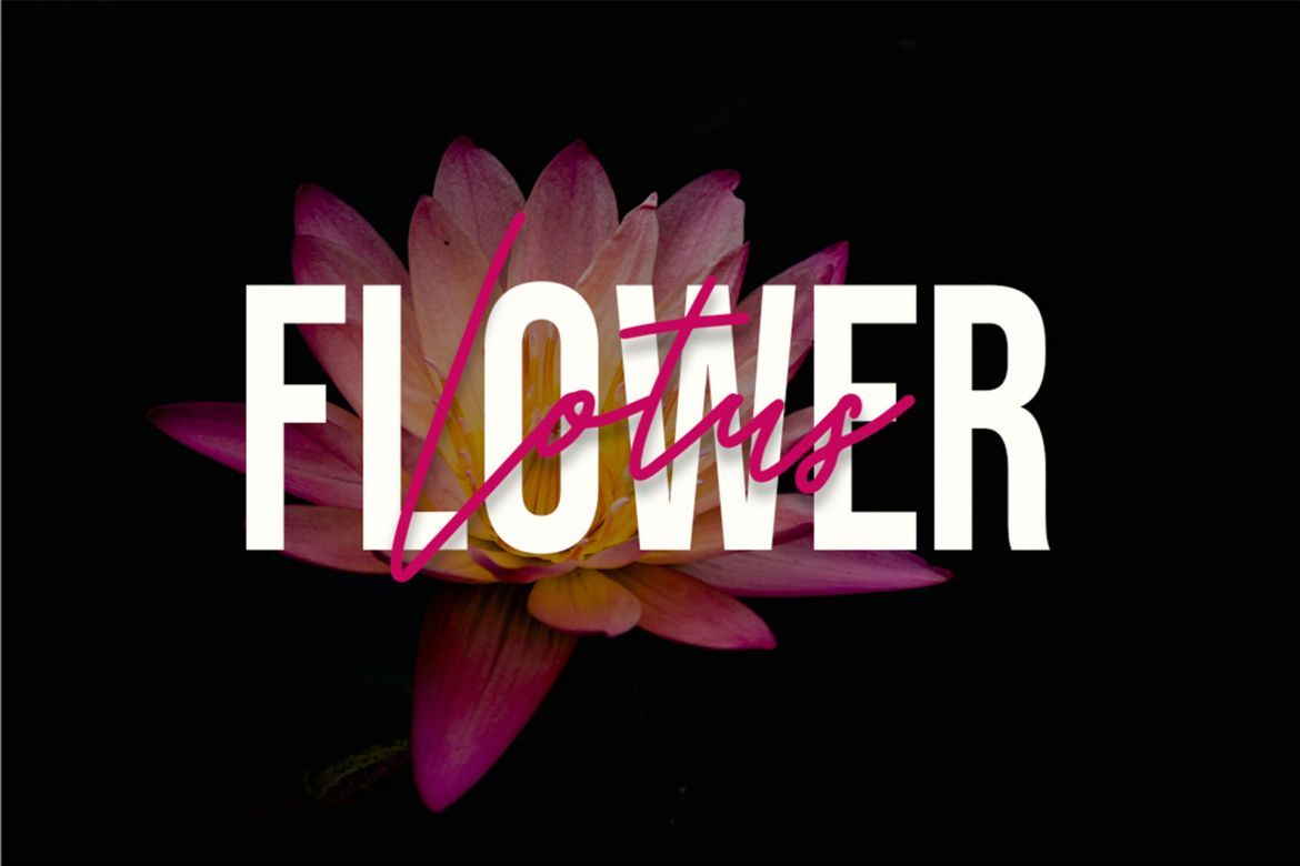 Hello Monday Font Duo - view 5